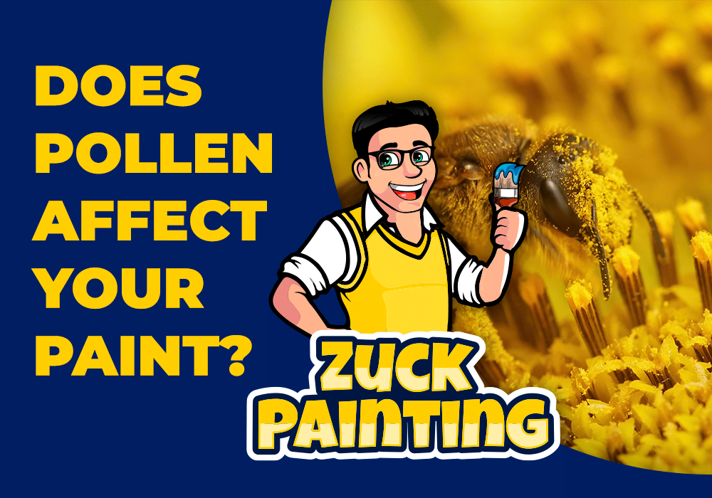 Read more about the article Does Pollen Ruin Your House Paint?